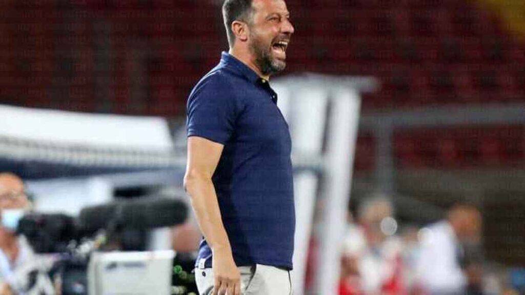 دافيرسا