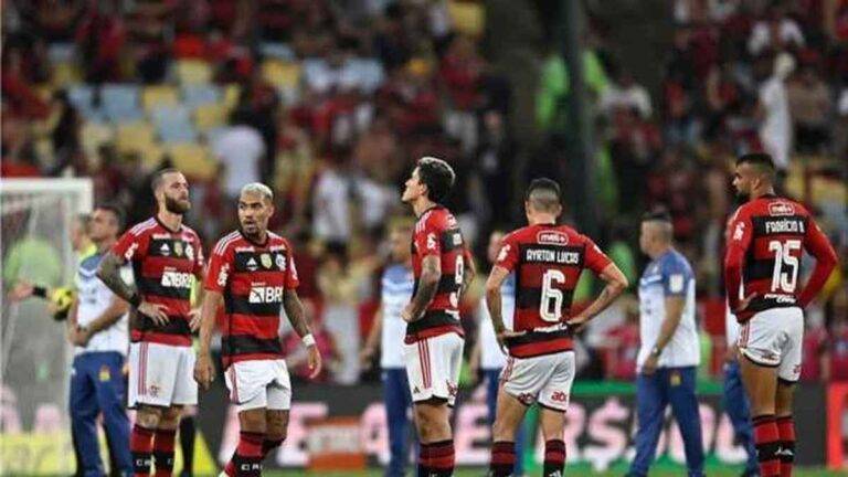 الدوري البرازيلي: فلامنغو يفوز ويتصدر مع بالميراس