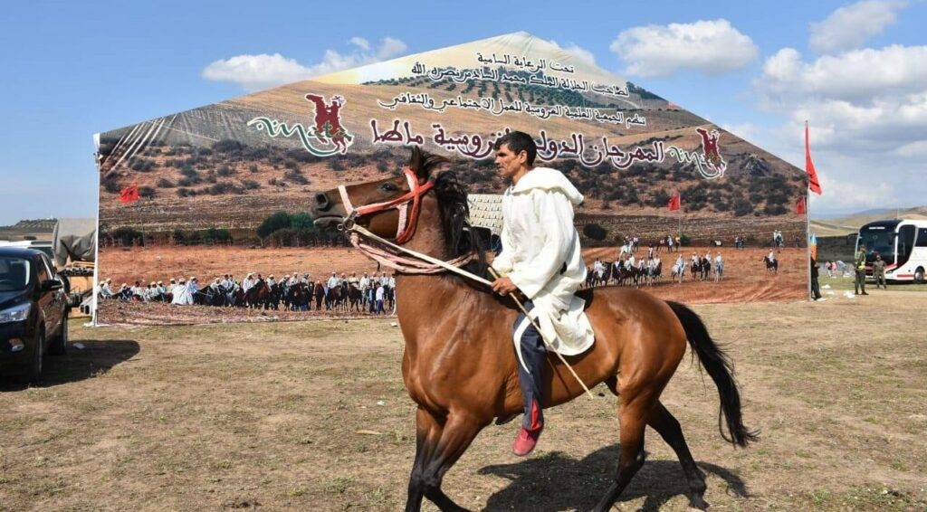 مهرجان ماطا للفروسية: تجسيد للتراث الثقافي وجسر للحوار الحضاري