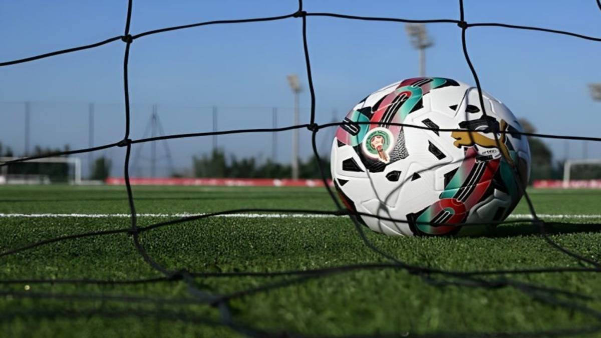 البطولة الوطنية الاحترافية