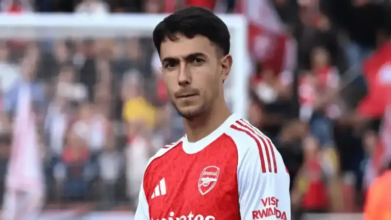 زوبيميندي