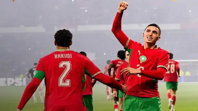 أسود الأطلس