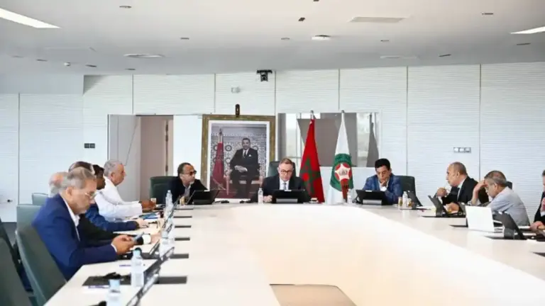 لقجع يعلن اعتماد بطاقة "فان أيدي"